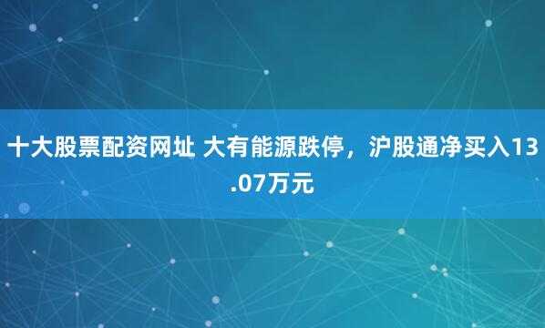 十大股票配资网址 大有能源跌停，沪股通净买入13.07万元