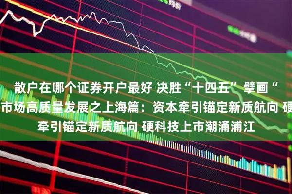 散户在哪个证券开户最好 决胜“十四五” 擘画“十五五”·地方资本市场高质量发展之上海篇：资本牵引锚定新质航向 硬科技上市潮涌浦江